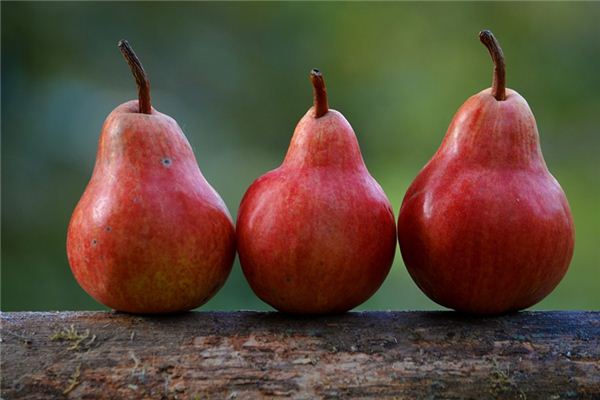 What does it mean to dream of pears? What does it mean to dream of pears?