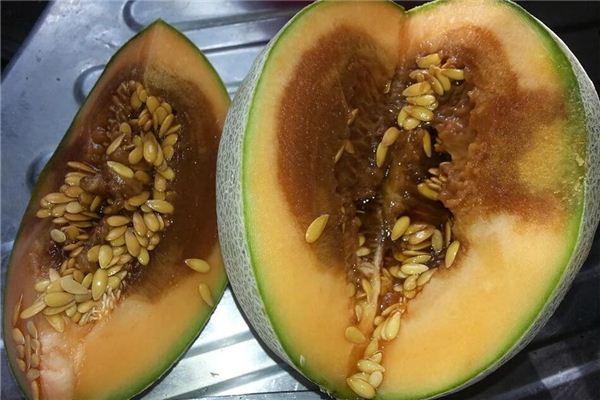 Dreaming of rotten melons