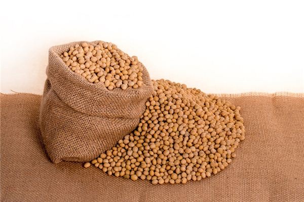 What does it mean to dream of beans? What does it mean to dream of beans?
