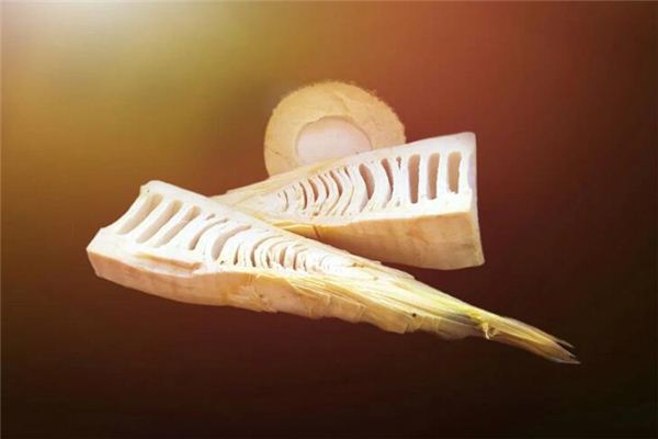 What does it mean to dream of bamboo shoots? What does it mean to dream of bamboo shoots?