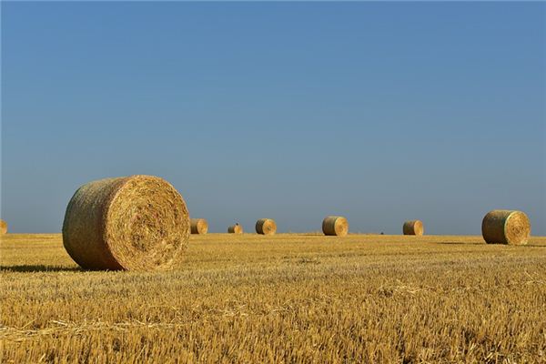 What does it mean to dream of hay? What does it mean to dream of hay?
