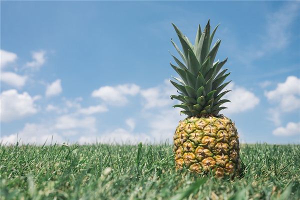 What does it mean to dream of pineapples? What does it mean to dream of pineapples?