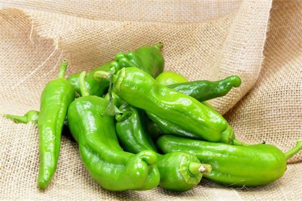 Dreaming of green peppers and bell peppers