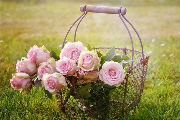 What does it mean to dream of roses? What does it mean to dream of roses?