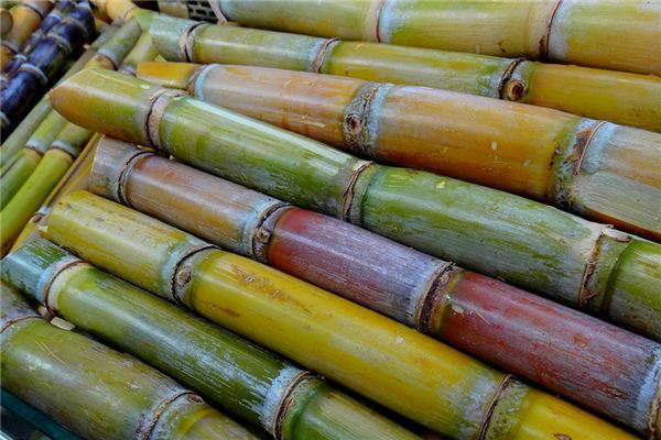 What does it mean to dream of sugarcane?