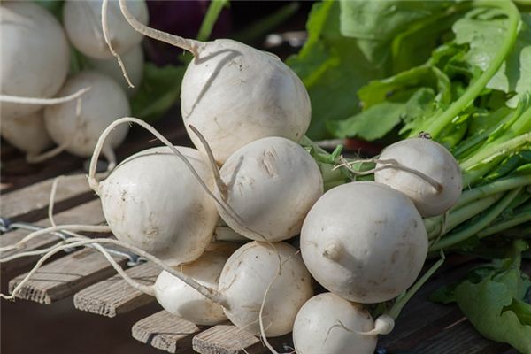 What does it mean to dream of white radishes? What does it mean to dream of white radishes?