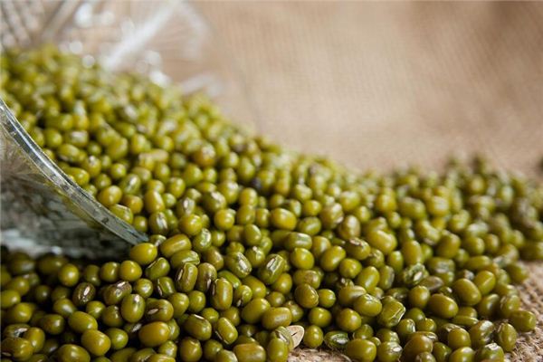 Dreaming of planting mung beans