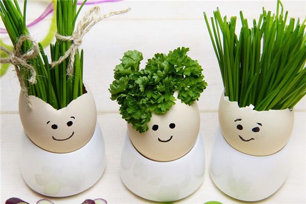 What does it mean to dream of chives? What does it mean to dream of chives?