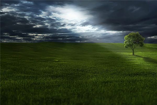 What does it mean to dream of grass? What does it mean to dream of grass?