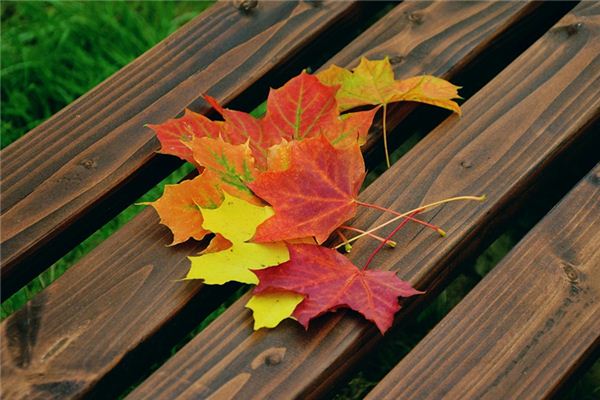 What does it mean to dream of fallen leaves? What does it mean to dream of fallen leaves?
