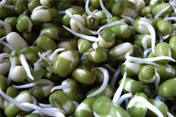 What does it mean to dream of bean sprouts? What does it mean to dream of bean sprouts?
