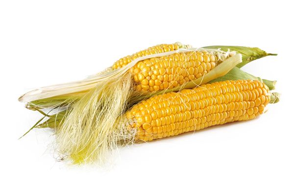 What does it mean to dream of corn? What does it mean to dream of corn?