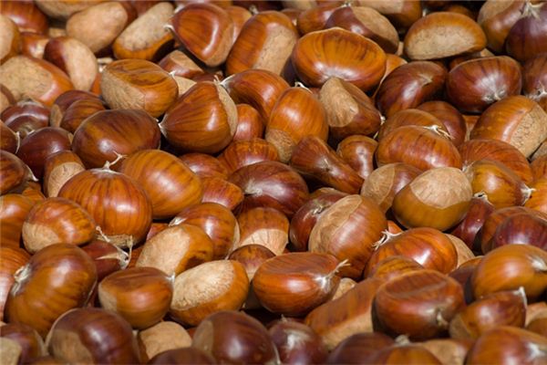 What does it mean to dream of chestnuts? What does it mean to dream of chestnuts?