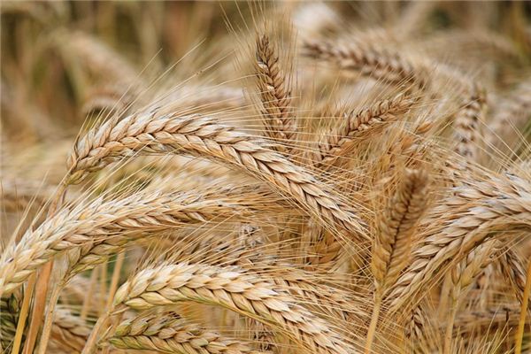 What does it mean to dream of rice chaff? What does it mean to dream of rice chaff?