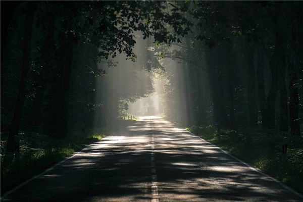 What does it mean to dream of tree shade? What does it mean to dream of tree shade?
