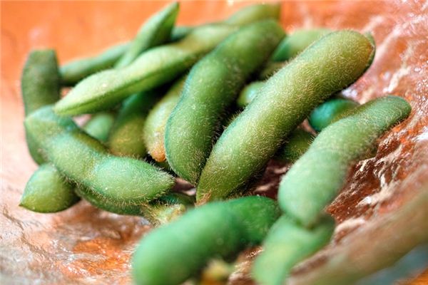 What does it mean to dream of edamame? What does it mean to dream of edamame?