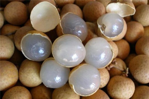 Dreaming of longan