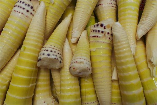 Dreaming of bamboo shoots and hairy bamboo shoots
