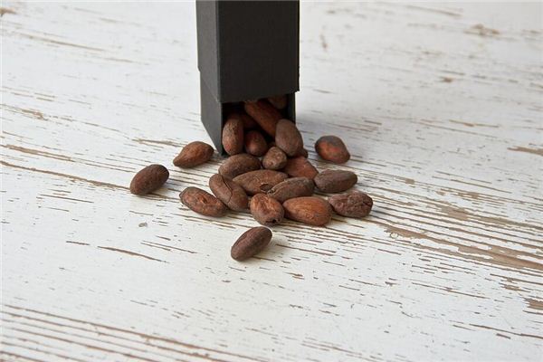 Dreaming of cocoa beans and cocoa trees