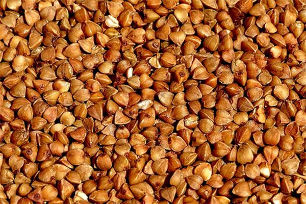 What does it mean to dream of buckwheat? What does it mean to dream of buckwheat?