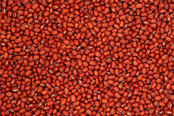What does it mean to dream of red beans? What does it mean to dream of red beans?