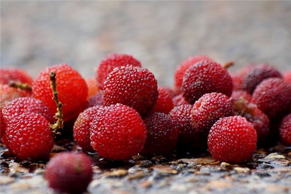 What does it mean to dream of bayberries? What does it mean to dream of bayberries?