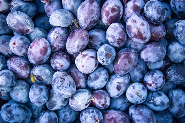 What does it mean to dream of plums? What does it mean to dream of plums?