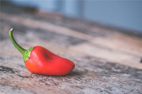 Dreaming of red chili peppers Dreaming of red chili peppers