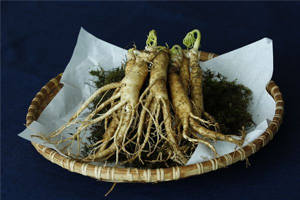 What does it mean to dream of ginseng? What does it mean to dream of ginseng?