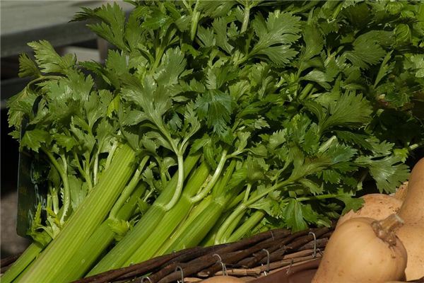 Dreaming of parsley and celery
