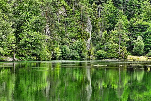 What does it mean to dream of mountains, forests, grass and trees? What does it mean to dream of mountains, forests, grass and trees?