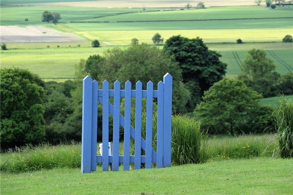 What does it mean to dream of a hedge? What does it mean to dream of a hedge?