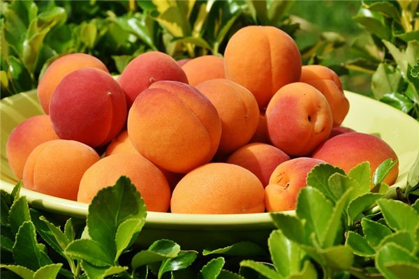 What does it mean to dream of apricots? What does it mean to dream of apricots?