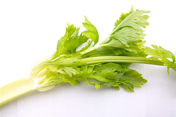 What does it mean to dream of celery? What does it mean to dream of celery?
