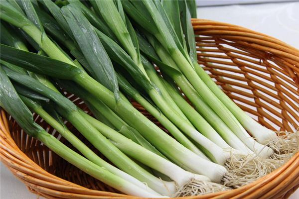 Dreaming of garlic, garlic sprouts, garlic bulbs