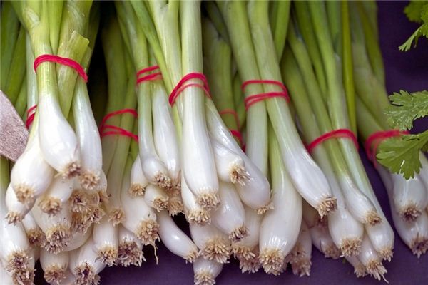 What does it mean to dream of onions? What does it mean to dream of onions?