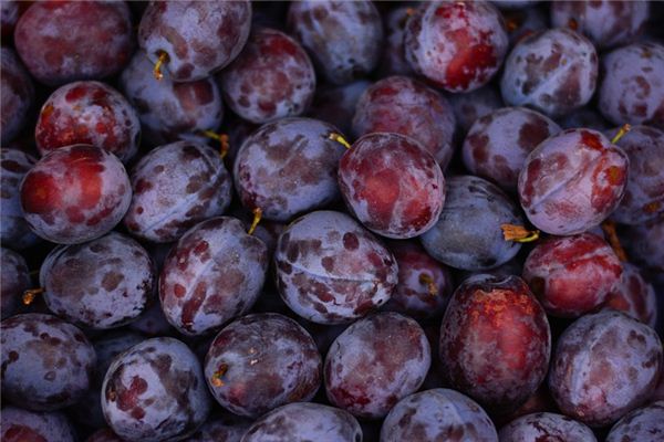 What does it mean to dream of sour plums? What does it mean to dream of sour plums?