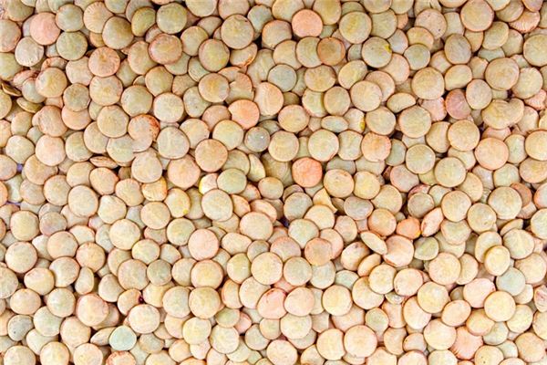What does it mean to dream of lentils? What does it mean to dream of lentils?