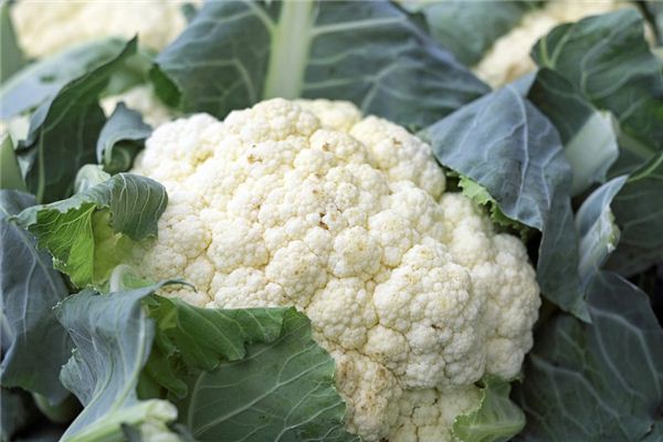 What does it mean to dream of cauliflower? What does it mean to dream of cauliflower?
