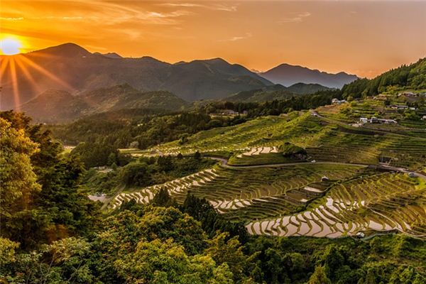 What does it mean to dream of rice? What does it mean to dream of rice?