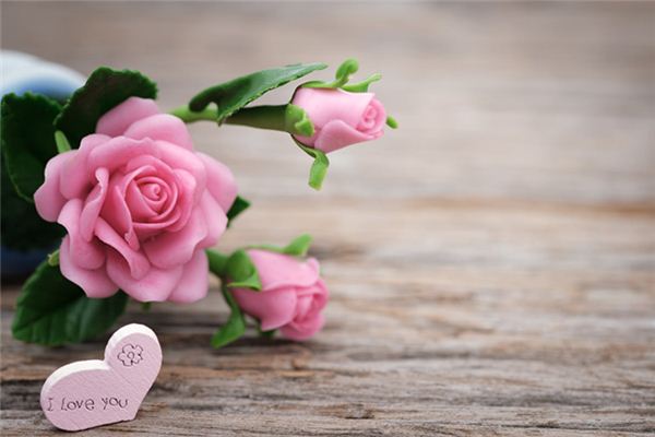 What does it mean to dream of roses? What does it mean to dream of roses?