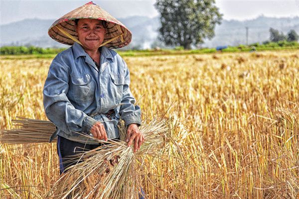 What does it mean to dream of abundant harvest? What does it mean to dream of abundant harvest?