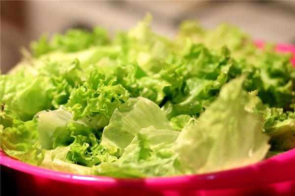 What does it mean to dream of lettuce? What does it mean to dream of lettuce?