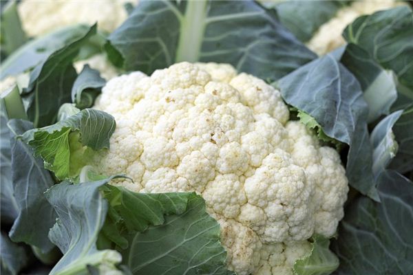 What does it mean to dream of cauliflower? What does it mean to dream of cauliflower?