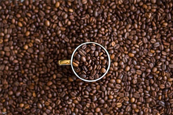 What does it mean to dream of cocoa beans? What does it mean to dream of cocoa beans?