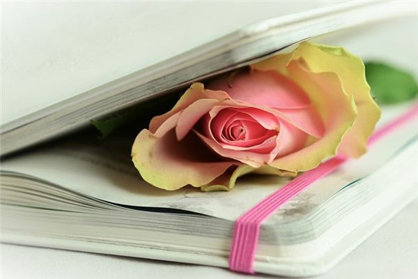 What does it mean to dream of poetry? What does it mean to dream of poetry?