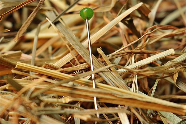 What does it mean to dream of thumbtacks? What does it mean to dream of thumbtacks?
