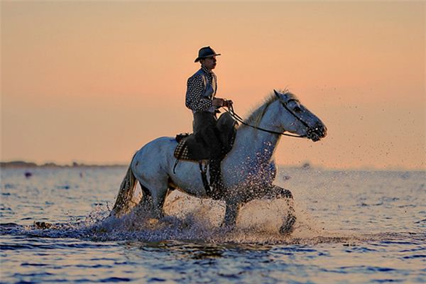 What does it mean to dream of riding a horse at full speed? What does it mean to dream of riding a horse at full speed?