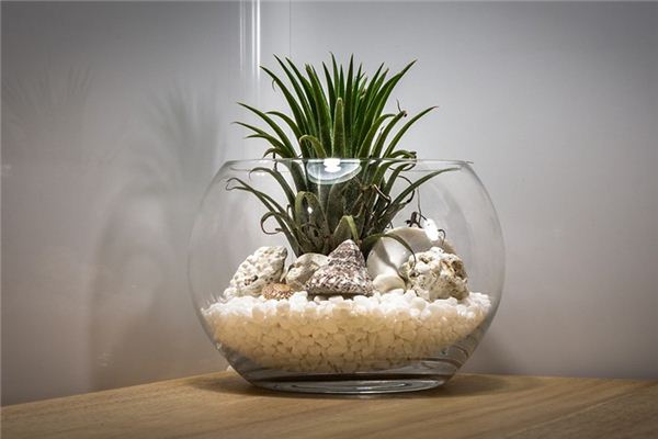 What does it mean to dream of a fish tank? What does it mean to dream of a fish tank?