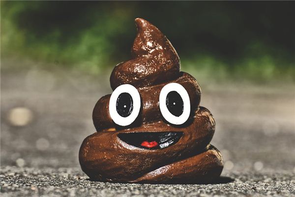 What does it mean to dream about feces and urine? What does it mean to dream about feces and urine?